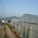 딸기소아청소년과의원 이미지