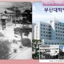 부산대학병원 이미지