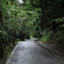 [休養林] 전남 장흥 유치자연휴양림 이미지