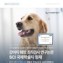 SCI 메디컬 이미지