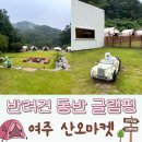 오마켓 | 경기도 여주 강아지 동반 글램핑st 감성 식사, 산오마켓 솔직 후기