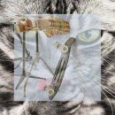 Pink Pong Pong 이미지