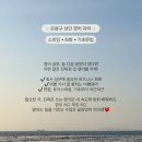 입이 트이는 생활영어 기초 이미지