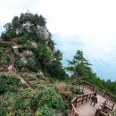 일레븐 당구장 이미지