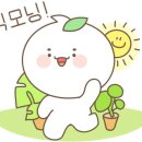 선유스테이 이미지