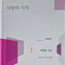 시차 이미지