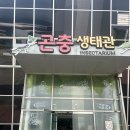 조형벤치(집) 이미지