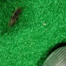 양촌골프연습장 이미지