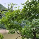 후동리 마을회관 이미지