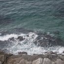 방파제회식당1호 | [일상] 10월 1주차