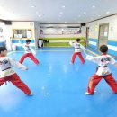 용인대비룡태권도장 이미지