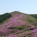장수의 땅 그리고 Daum카페
