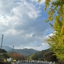 직지문화공원 | 🥳 2025 김천 김밥축제 첫째날(10/25) 후기 / 가을 축제 / 직지문화공원