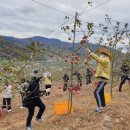 내이동행정복지센터 이미지