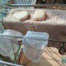 야무진세탁 이미지