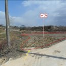 여주-0311 이미지