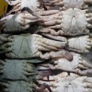 보령건어물 - 아산시 아산호로496번길 114 | 보령건어물