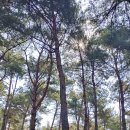 만나민박 이미지