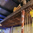 고향손칼국수 이미지