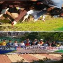 서울난우초등학교 이미지