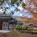 원묵계 계곡 이미지