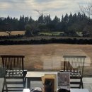 울진북로4 (중1-1) | [제주여행4] 제주도 여행 중 가장 좋았던 포도호텔 1박 후기(feat. 온천 / 건축예술가이드 / 올레 산책길)