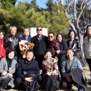 마르띠노 이미지