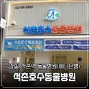 달맞이 호두네 동물병원 | 저렴하고 친절한 송파구 동물병원 추천 _ 석촌호수동물병원 에디슨병 내돈내산 방문기