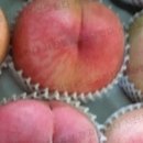 임홍식농장 이미지