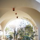 이에스제주리조트 이미지