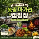 봉평 마가리 캠핑장 계곡 캠핑 후기｜숲속 데크 사이트와 여름 캠핑 추천 명소