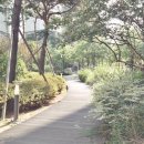 반포타운공인중개사사무소 이미지