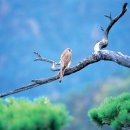 제2공단3로 이미지