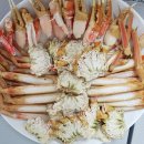 태원수산 | [울진맛집/후포맛집] 대게가 맛있는 태원수산 솔직후기