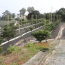 이형재농장 이미지