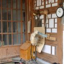 도토리숲속학교 이미지