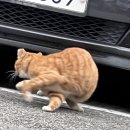 진호목장 이미지