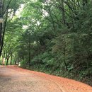 계족산황톳길 이미지