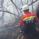 김삿갓면-3 이미지