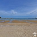 학암포자동차야영장 이미지