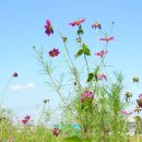 나산세탁소 이미지