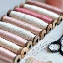 피치핑크 이미지