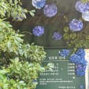 충남 당진 당일치기 여행 아미미술관 사진찍기 좋은 실내 여행지