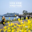 서귀포농업협동조합법환지점 | 제주 유채꽃 축제 제대로 즐기는 방법, 서귀포 유채꽃 걷기대회 후기