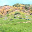 도심다원 이미지