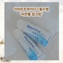 코리아약국 | 트레이더스필수템 비판톨 립크림