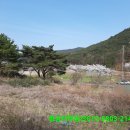 황금터부동산중개사무소 이미지
