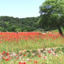 악양생태공원 이미지