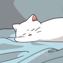 쓰담쓰담