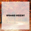글로벌수지무역